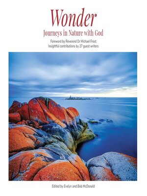 cover image of Wonder